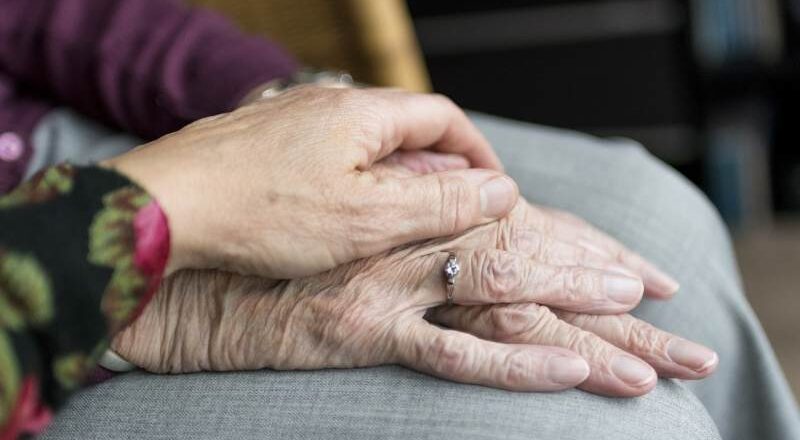 Grandparents’ Legacy: The Role of Seniors in Shaping the Future