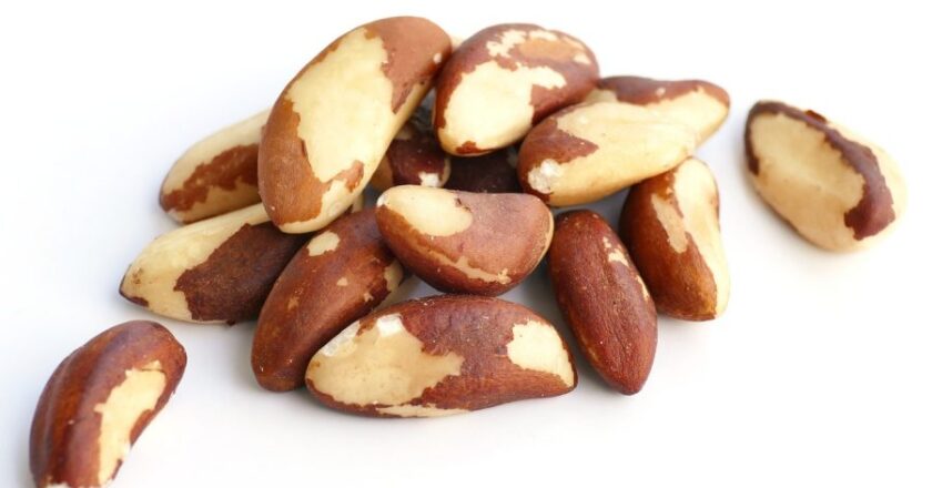 Selenium Depot Brazil Nut: A Miraculous Food for Health